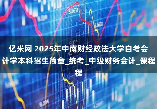亿米网 2025年中南财经政法大学自考会计学本科招生简章_统考_中级财务会计_课程