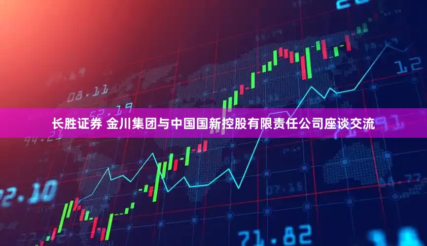 长胜证券 金川集团与中国国新控股有限责任公司座谈交流